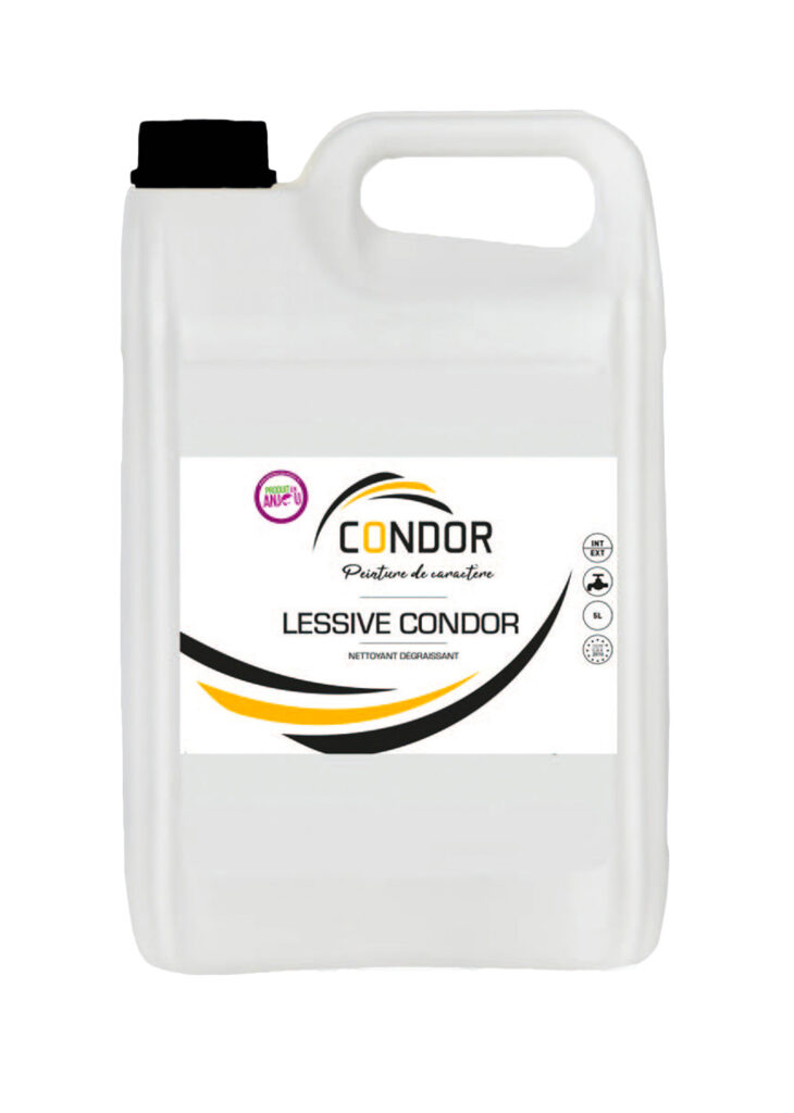 LESSIVE-condor