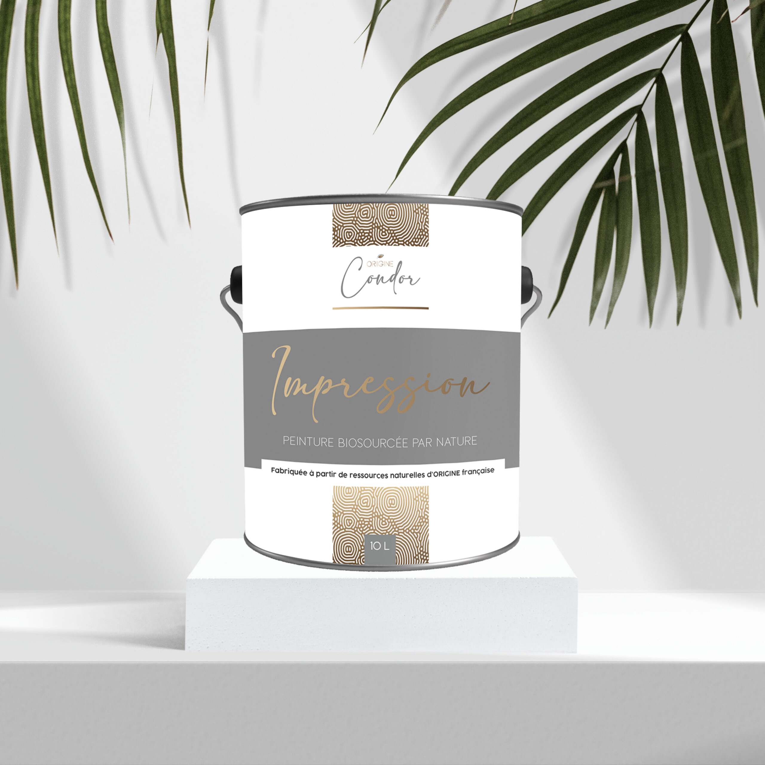 PEINTURE-BIOSOURCEE-IMPRESSION